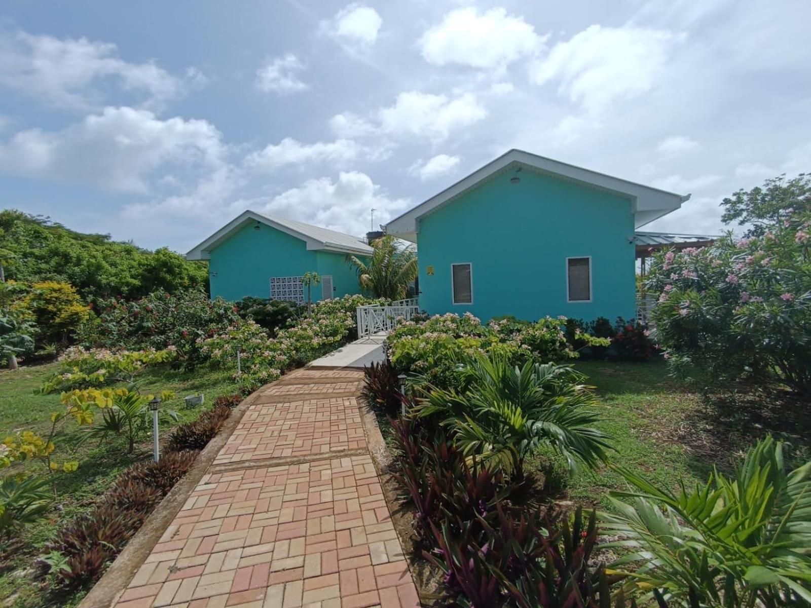 Blue Lizard House Villa San Andres  Exterior photo
