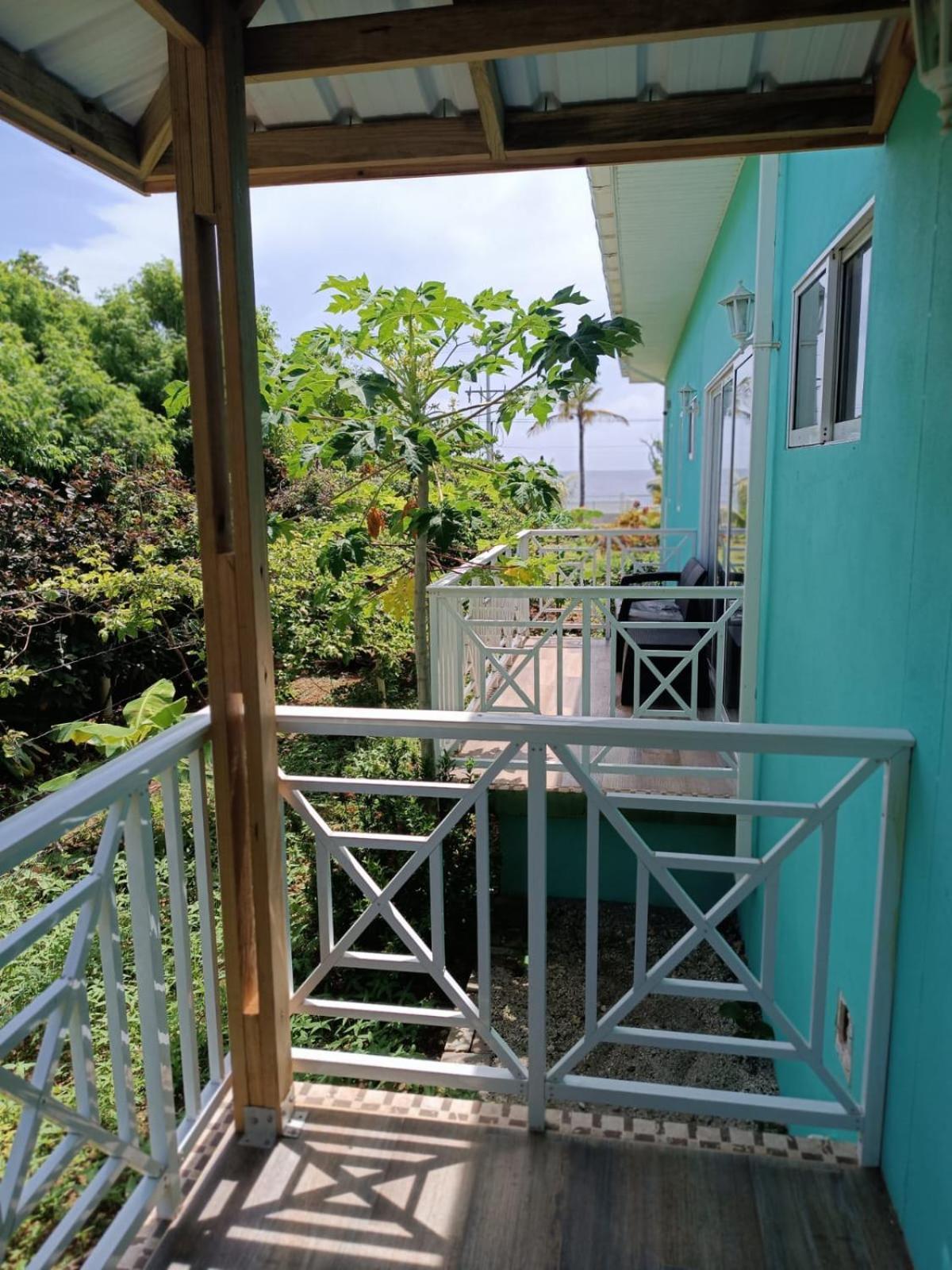 Blue Lizard House Villa San Andres  Exterior photo