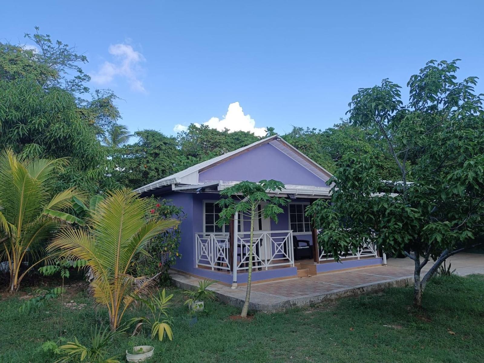 Blue Lizard House Villa San Andres  Exterior photo